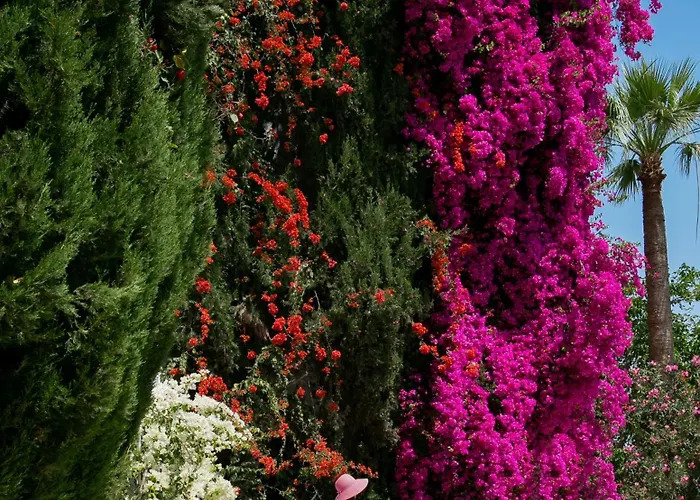 Azia & 5* Πάφος