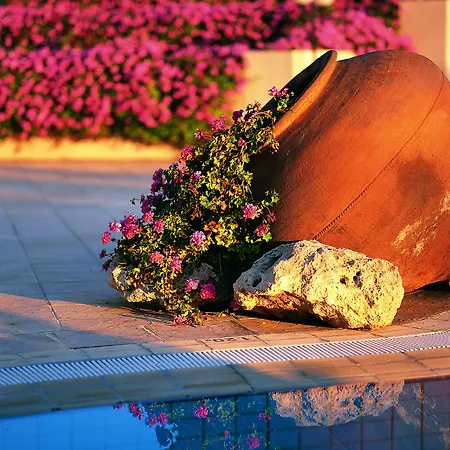 Azia & Hotel