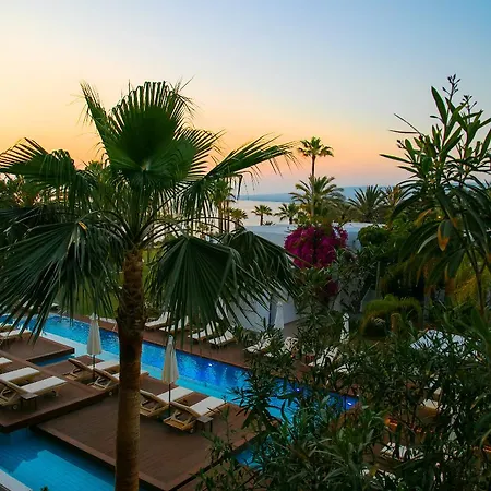 Azia & 5* パ フォス