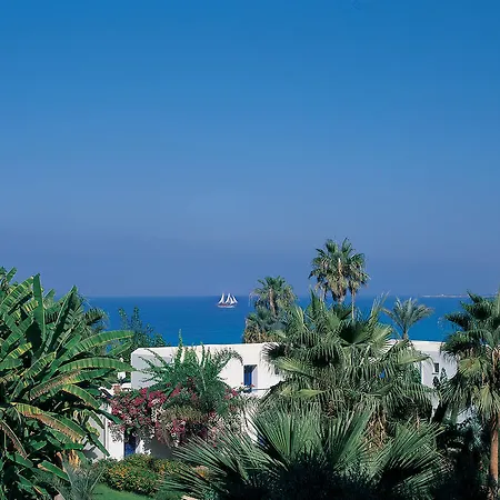 Azia & Paphos